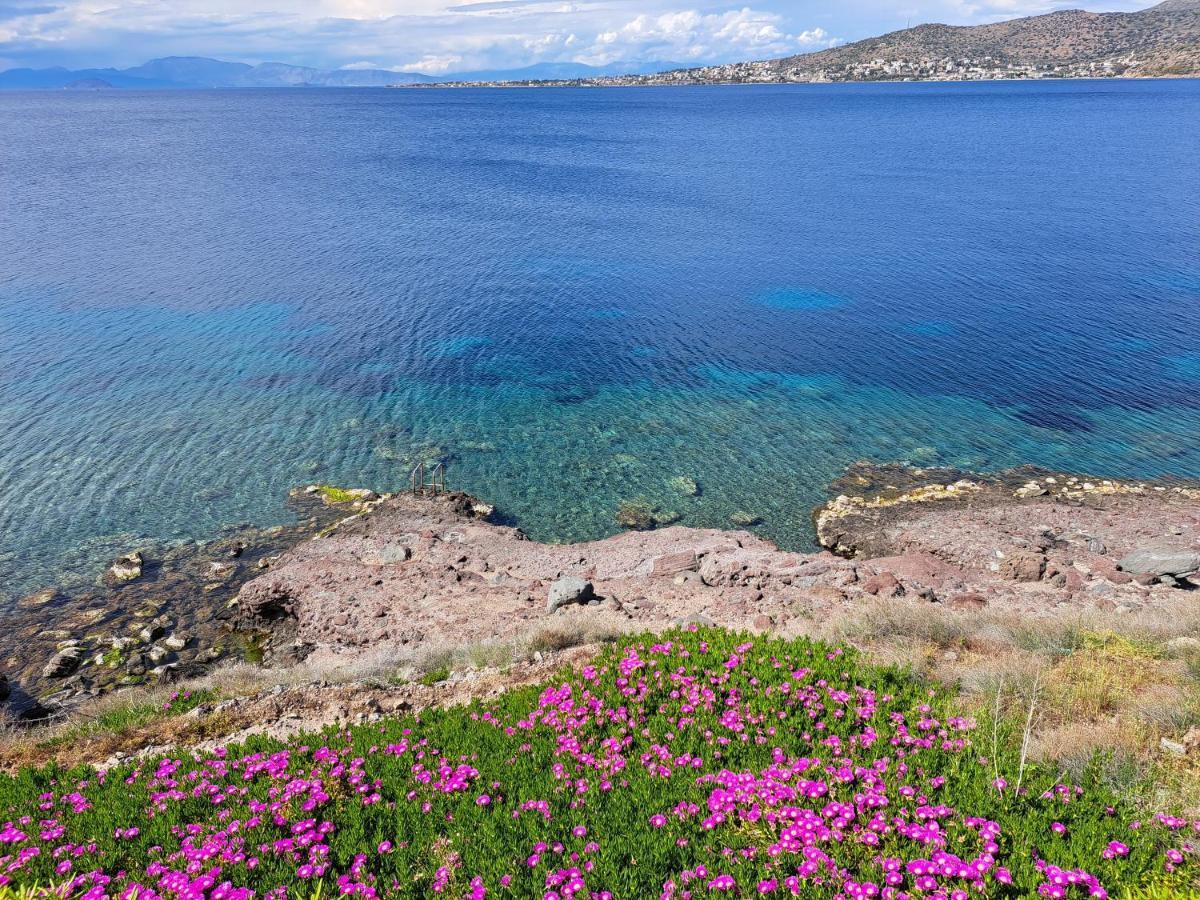 Almyra Seaside Villa Perdika  Bagian luar foto